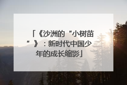 《沙洲的“小树苗”》：新时代中国少年的成长缩影