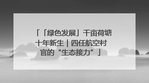 「绿色发展」千亩荷塘 十年新生｜四任航空村官的“生态接力”