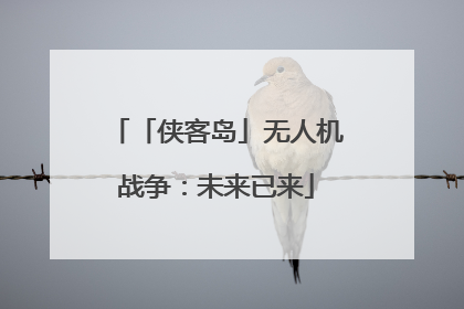 「侠客岛」无人机战争：未来已来