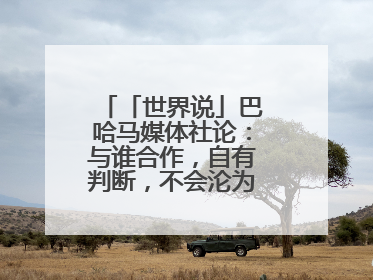 「世界说」巴哈马媒体社论：与谁合作，自有判断，不会沦为“权力游戏”