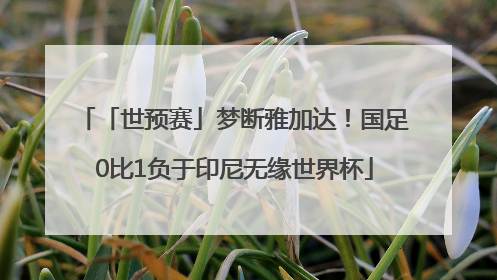 「世预赛」梦断雅加达！国足0比1负于印尼无缘世界杯