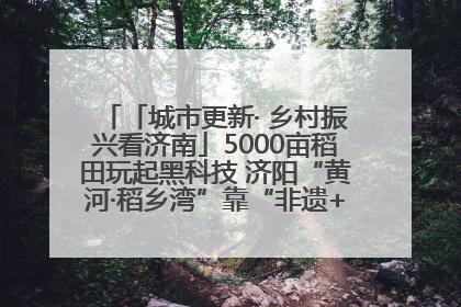 「城市更新· 乡村振兴看济南」5000亩稻田玩起黑科技 济阳“黄河·稻乡湾”靠“非遗+露营”火出圈