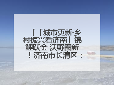 「城市更新·乡村振兴看济南」锦鲤跃金 沃野图新！济南市长清区：小锦鲤大产业 游出农旅新风景