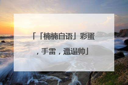 「楠楠自语」彩蛋，手雷，邋遢帅