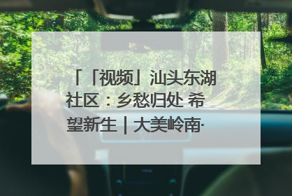 「视频」汕头东湖社区：乡愁归处 希望新生｜大美岭南·百村焕新记