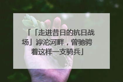 「走进昔日的抗日战场」滹沱河畔，曾驰骋着这样一支骑兵