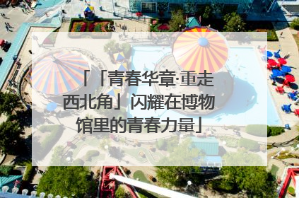 「青春华章·重走西北角」闪耀在博物馆里的青春力量