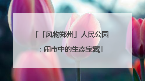 「风物郑州」人民公园：闹市中的生态宝藏