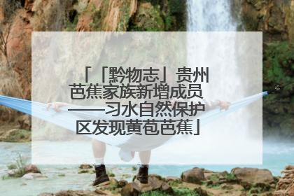 「黔物志」贵州芭蕉家族新增成员——习水自然保护区发现黄苞芭蕉