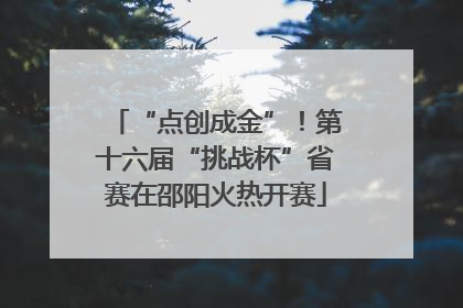“点创成金”！第十六届“挑战杯”省赛在邵阳火热开赛