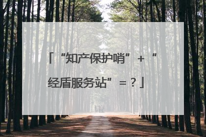 “知产保护哨”+“经盾服务站”=？