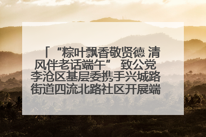 “粽叶飘香敬贤德 清风伴老话端午” 致公党李沧区基层委携手兴城路街道四流北路社区开展端午节主题活动