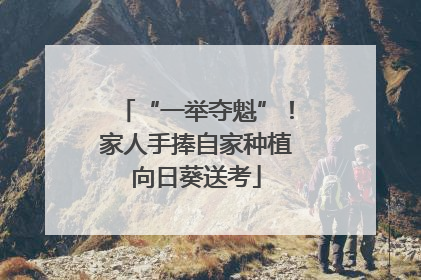 “一举夺魁”！家人手捧自家种植向日葵送考