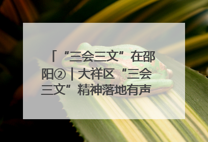 “三会三文”在邵阳②｜大祥区“三会三文”精神落地有声 以实干实绩助力区域高质量发展