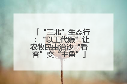“三北”生态行：“以工代赈”让农牧民由治沙“看客”变“主角”