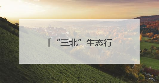 “三北”生态行：从“黄沙蔽日”到“绿毯铺野”——浑善达克沙地的“绿色重生”