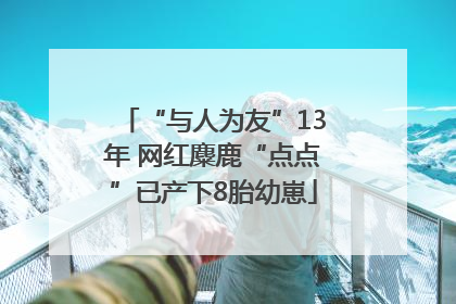 “与人为友”13年 网红麋鹿“点点”已产下8胎幼崽