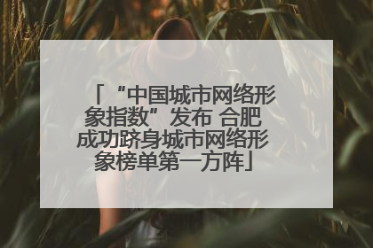 “中国城市网络形象指数”发布 合肥成功跻身城市网络形象榜单第一方阵