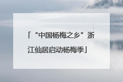 “中国杨梅之乡”浙江仙居启动杨梅季
