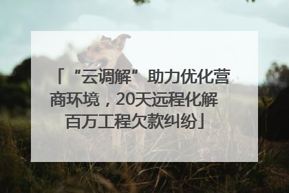 “云调解”助力优化营商环境，20天远程化解百万工程欠款纠纷