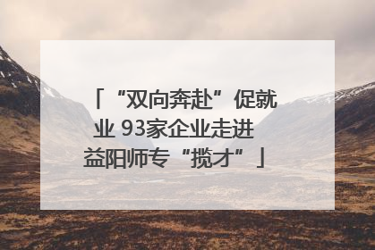 “双向奔赴”促就业 93家企业走进益阳师专“揽才”