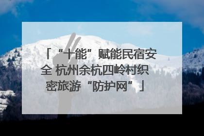 “十能”赋能民宿安全 杭州余杭四岭村织密旅游“防护网”