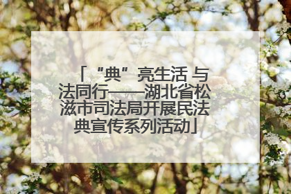 “典”亮生活 与法同行——湖北省松滋市司法局开展民法典宣传系列活动