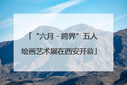 “六月 - 跨界”五人绘画艺术展在西安开幕