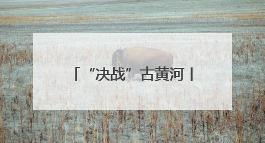 “决战”古黄河丨2025端午龙舟赛“巅峰相见”
