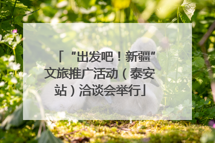 “出发吧！新疆”文旅推广活动（泰安站）洽谈会举行