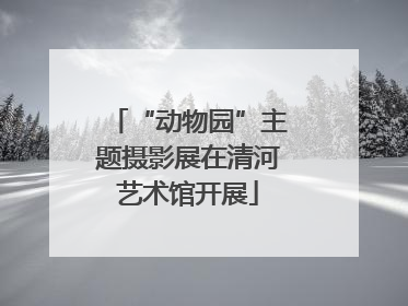“动物园”主题摄影展在清河艺术馆开展