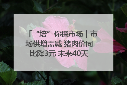 “培”你探市场｜市场供增需减 猪肉价同比降3元 未来40天便宜猪肉敞开吃