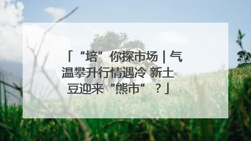 “培”你探市场｜气温攀升行情遇冷 新土豆迎来“熊市”？