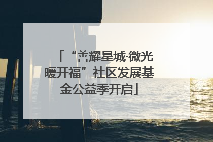 “善耀星城·微光暖开福”社区发展基金公益季开启