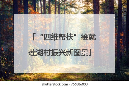 “四维帮扶”绘就莲湖村振兴新图景