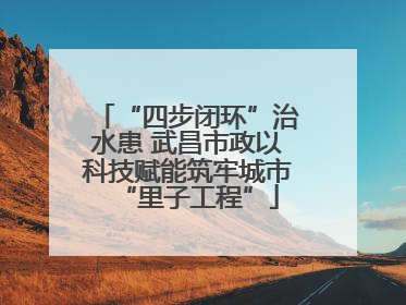 “四步闭环”治水患 武昌市政以科技赋能筑牢城市“里子工程”