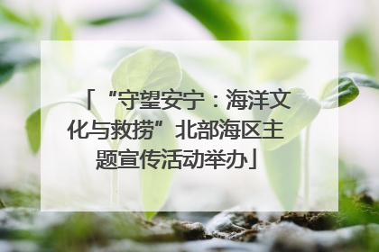 “守望安宁：海洋文化与救捞”北部海区主题宣传活动举办