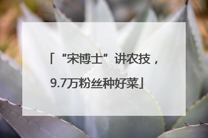 “宋博士”讲农技，9.7万粉丝种好菜