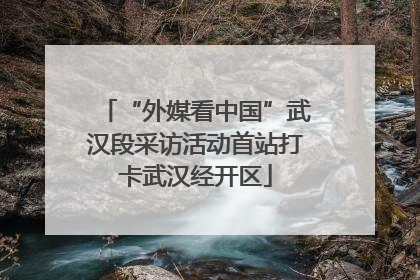 “外媒看中国”武汉段采访活动首站打卡武汉经开区
