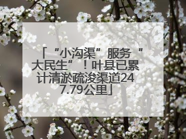 “小沟渠”服务“大民生”！叶县已累计清淤疏浚渠道247.79公里
