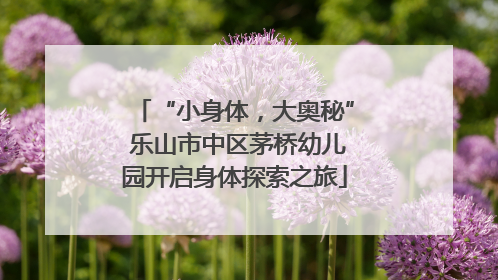 “小身体，大奥秘” 乐山市中区茅桥幼儿园开启身体探索之旅