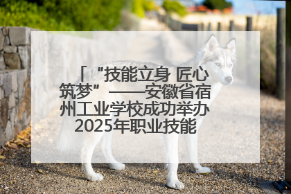 “技能立身 匠心筑梦”——安徽省宿州工业学校成功举办2025年职业技能活动周各项活动