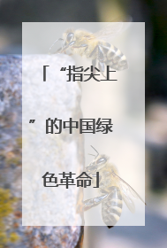“指尖上”的中国绿色革命