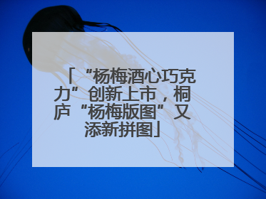 “杨梅酒心巧克力”创新上市，桐庐“杨梅版图”又添新拼图