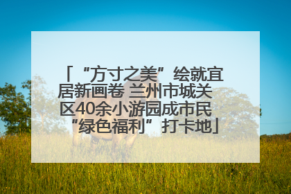 “方寸之美”绘就宜居新画卷 兰州市城关区40余小游园成市民“绿色福利”打卡地