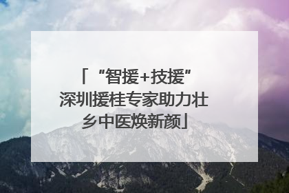 “智援+技援” 深圳援桂专家助力壮乡中医焕新颜