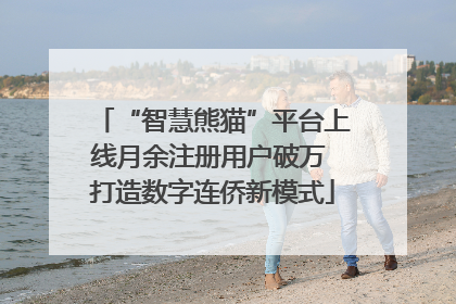 “智慧熊猫”平台上线月余注册用户破万 打造数字连侨新模式