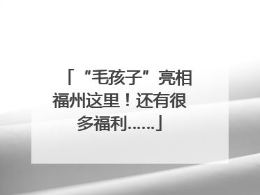 “毛孩子”亮相福州这里！还有很多福利……