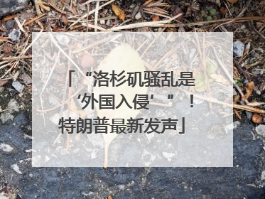 “洛杉矶骚乱是‘外国入侵’”！特朗普最新发声