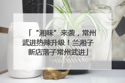 “湘味”来袭，常州武进热辣升级！兰湘子新店落子常州武进